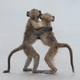 Illustration for article titled These Are the Winners of the 2015 Comedy Wildlife Awards